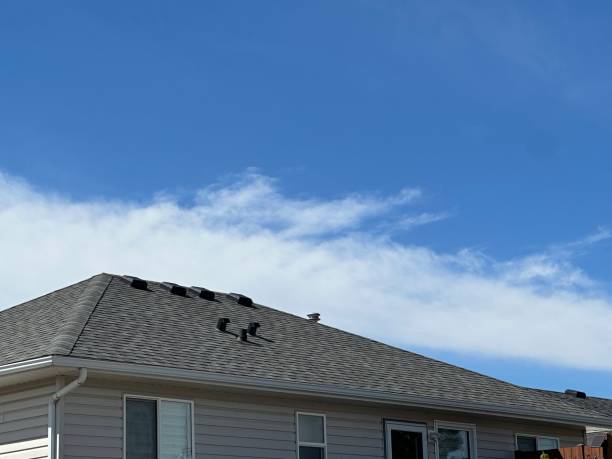 Asphalt Shingles Roofing in Etna, PA